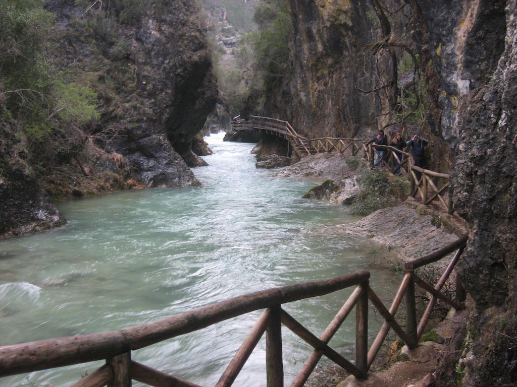Alojamientos Bellavista Coto Rios Pokoj fotografie